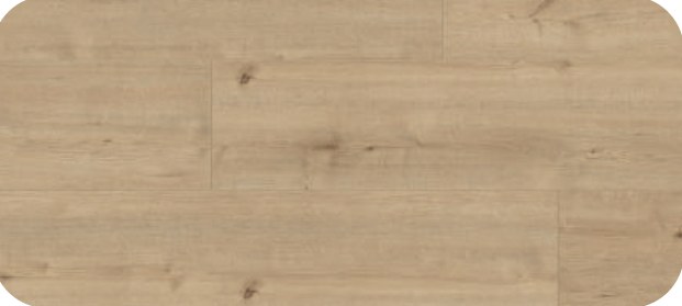 Vibrance by Pergo Original 0V Vancouver Oak laminate décor sample